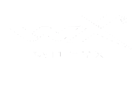 wiley-x